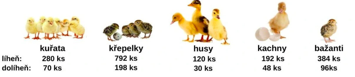 Snímka obrazovky 2026-03-14 o 13.16.07